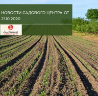 Новости садового центра: октябрь 2020