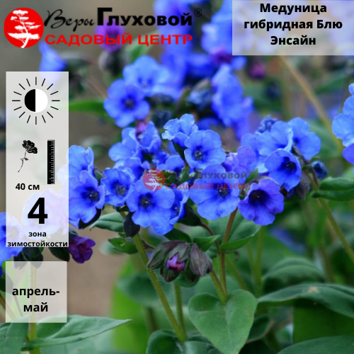 Основное изображение товара