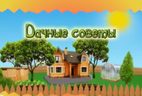 Смотрите Дачные советы в четверг 11.05.2017 г. в 19.20 на телеканале Губерния.