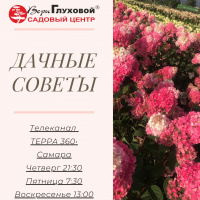 Расписание передачи Дачные Советы