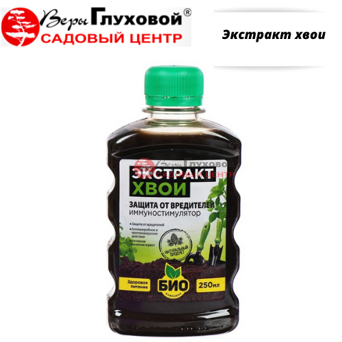 Экстракт хвои