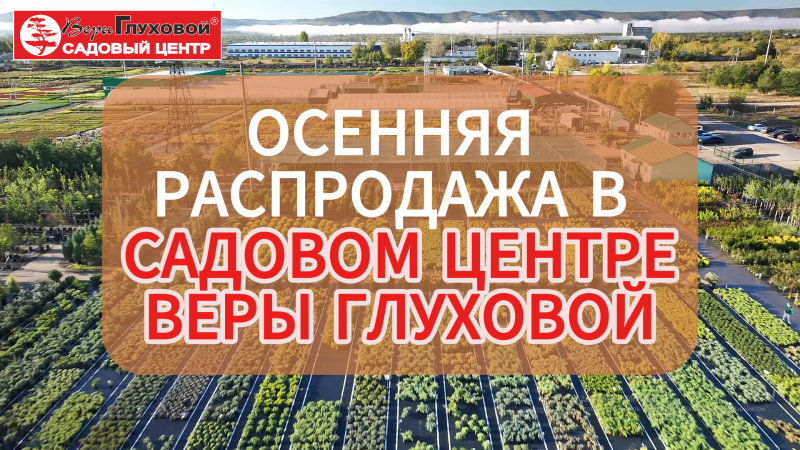  Осень – время скидок!