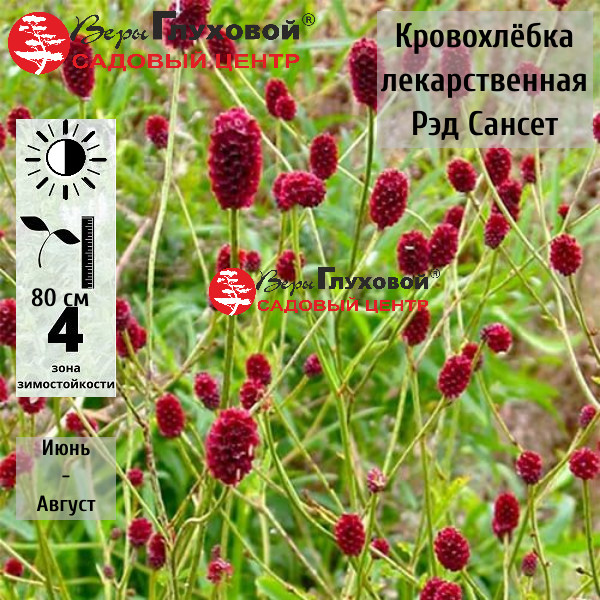 Основное изображение товара