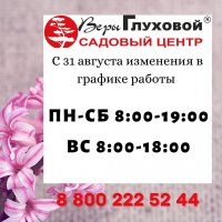 Изменения в графике работы с 31 августа