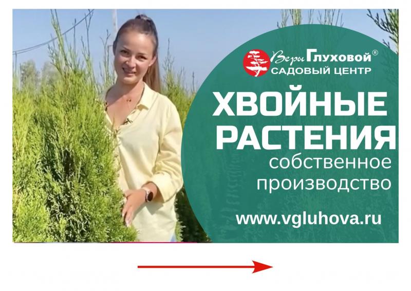 Дачные советы выпуск 25.08.22