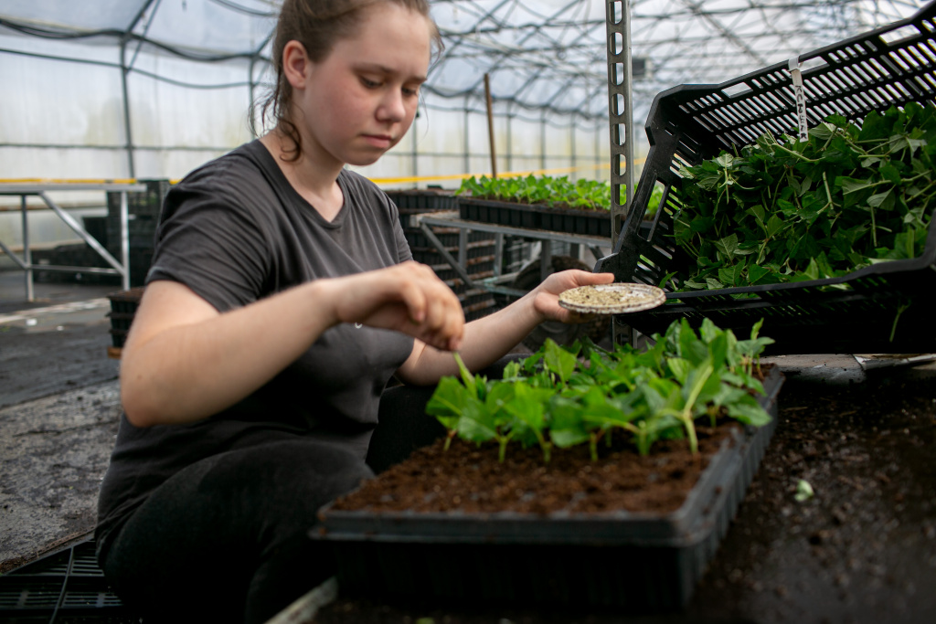 14 посадка в мультиплаты .jpg