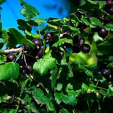 Основное изображение товара