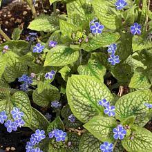 Основное изображение товара