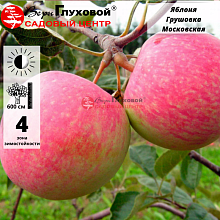 Рисунок 274.jpg