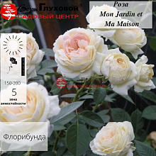 Основное изображение товара