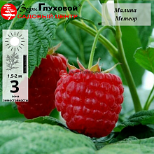 Рисунок 142.jpg