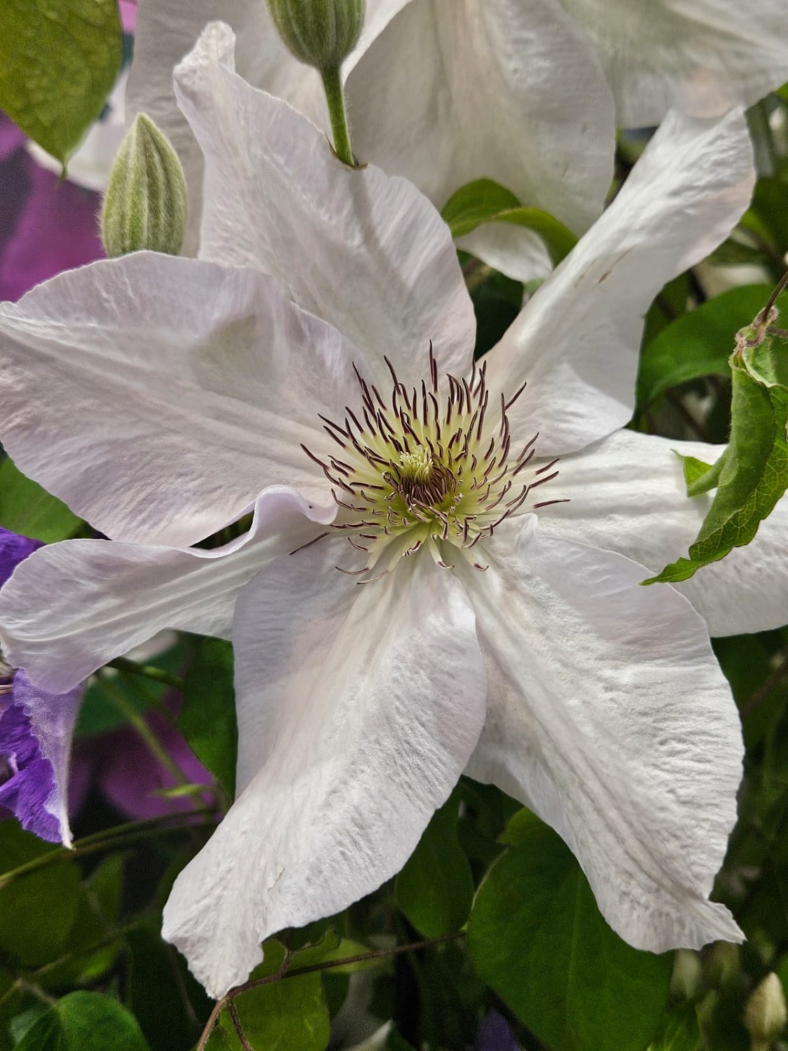 Время встречи профессионалов