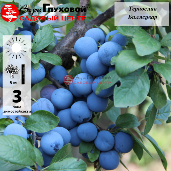 Основное изображение товара