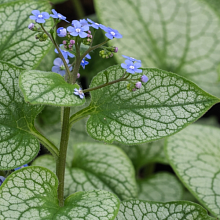 Основное изображение товара