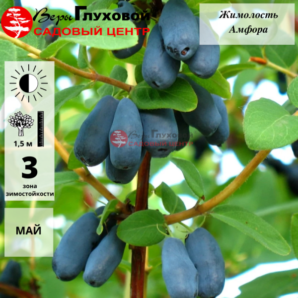 Основное изображение товара