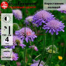 Основное изображение товара