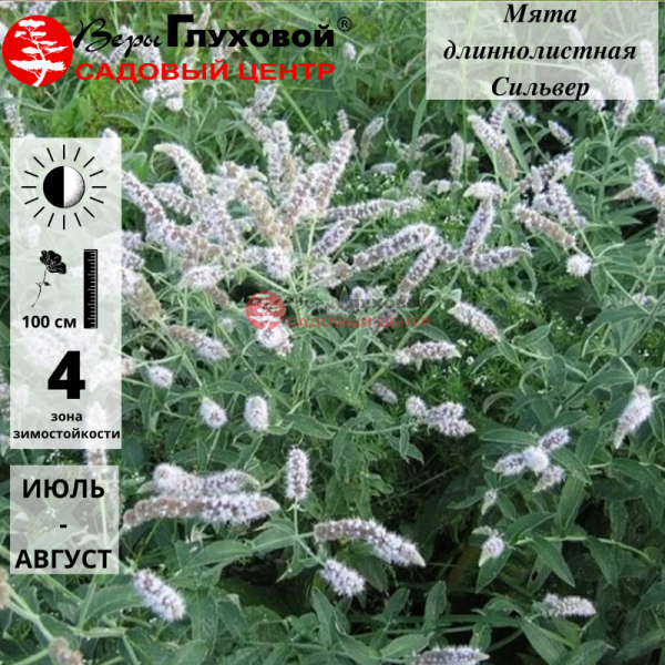 Основное изображение товара