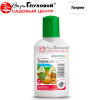 Танрек на фото
