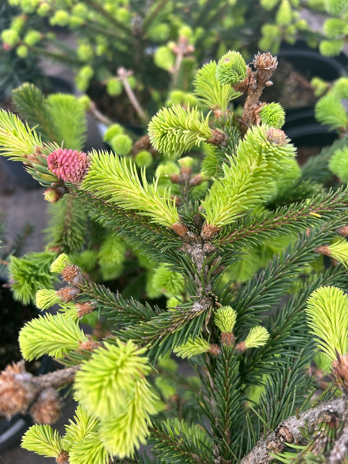 Ваш личный эксклюзив