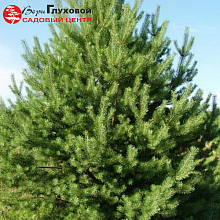 Основное изображение товара